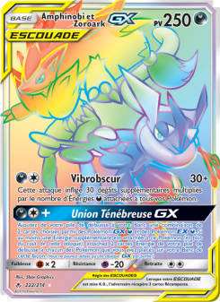 Amphinobi et Zoroark GX