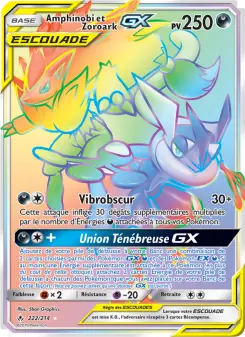 Carte Pokémon Amphinobi et Zoroark GX