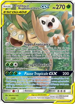 Carte Pokémon Brindibou et Noadkoko d’Alola GX