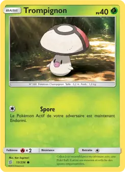 Carte Pokémon Trompignon