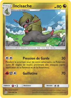 Carte Pokémon Incisache