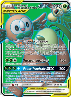 Carte Pokémon Brindibou et Noadkoko d’Alola GX