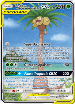 Brindibou et Noadkoko d’Alola GX