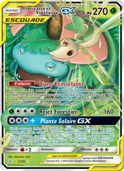 Carte Pokémon Florizarre et Vipélierre GX
