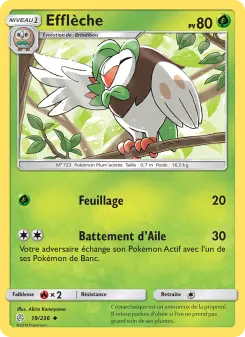Carte Pokémon Efflèche
