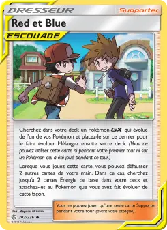 Carte Pokémon Red et Blue