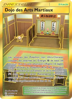 Dojo des Arts Martiaux