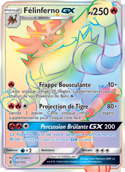 Félinferno GX