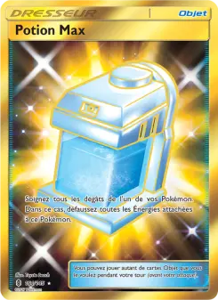 Carte Pokémon Potion Max
