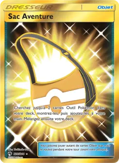Photo carte Pokemon Sac Aventure Tonnerre Perdu 228/214