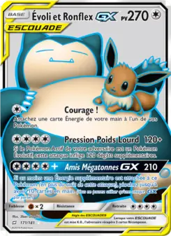 Carte Pokémon Évoli et Ronflex GX