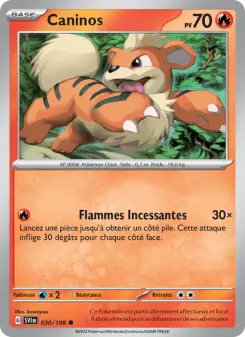 Photo carte Pokemon Caninos Écarlate et Violet 30/198
