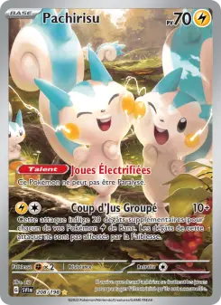 Carte Pokémon Pachirisu