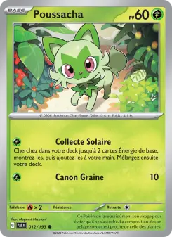 Carte Pokémon Poussacha