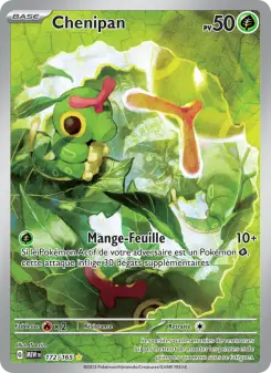 Carte Pokémon Chenipan
