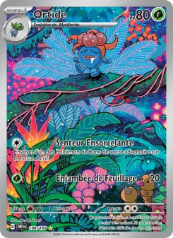 Carte Pokémon Ortide