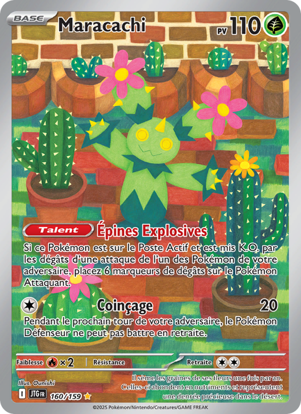 Maracachi