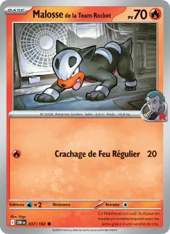 Malosse de la Team Rocket