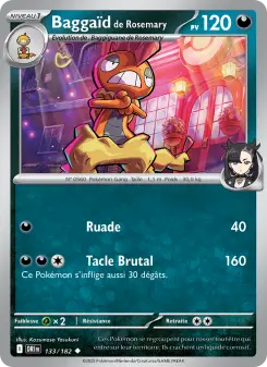 Baggaïd de Rosemary