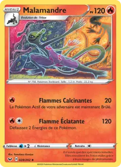 Photo carte Pokemon Malamandre Épée et Bouclier 28/202