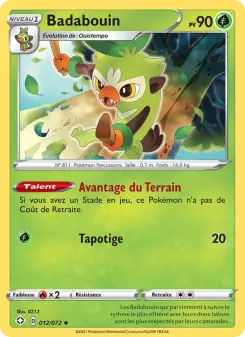 Carte Pokémon Badabouin