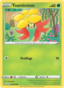 Carte Pokémon Tournicoton