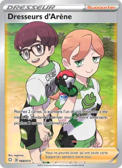 Carte Pokémon Dresseurs d'Arène