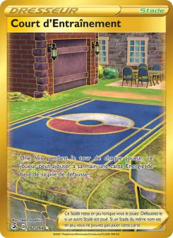 Photo carte Pokemon Court d'Entraînement Poing de Fusion 282/264