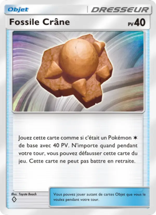 Fossile Crâne