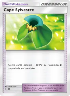 Cape Sylvestre