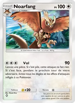 Noarfang