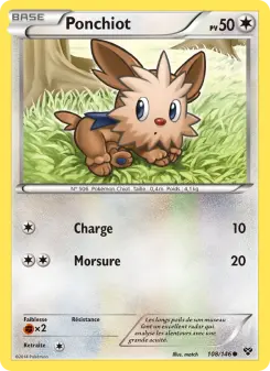 Photo carte Pokemon Ponchiot XY 108/146