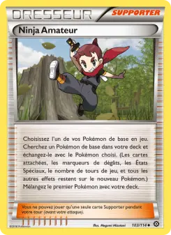 Photo carte Pokemon Ninja Amateur Offensive Vapeur 103/114