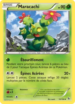 Carte Pokémon Maracachi