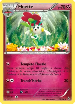 Carte Pokémon Floette
