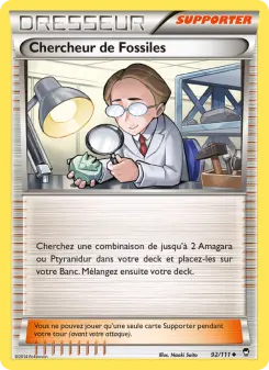 Chercheur de Fossiles