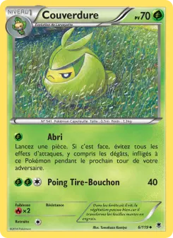 Carte Pokémon Couverdure