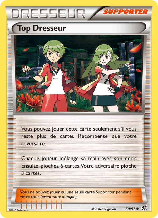 Top Dresseur