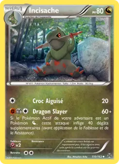 Carte Pokémon Incisache