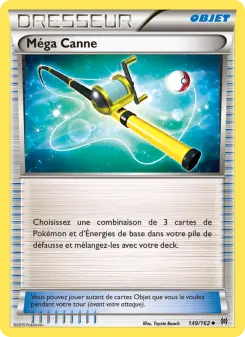 Carte Pokémon Méga Canne