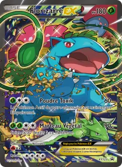 Carte Pokémon Florizarre EX