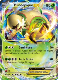 Carte Pokémon Blindépique EX
