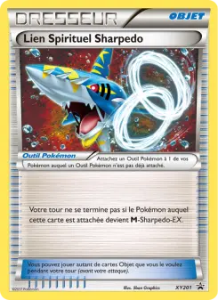 Lien Spirituel Sharpedo