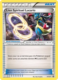 Lien Spirituel Lucario