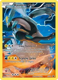 Photo carte Pokemon Kyurem Noir Promo XY XY80/211