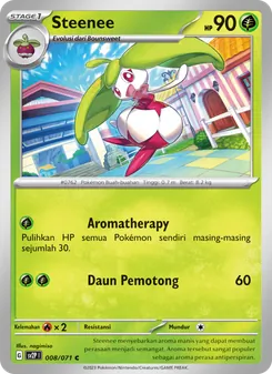 Steenee