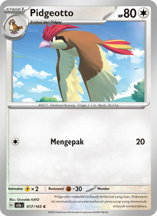 Pidgeotto card image