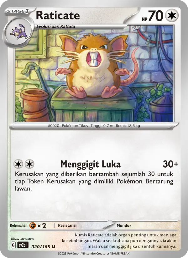 Raticate card image