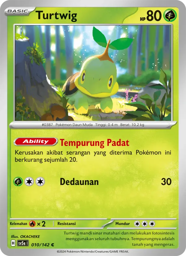 Turtwig card image