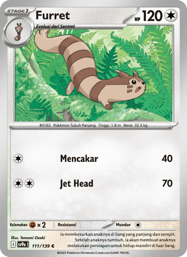 Furret card image